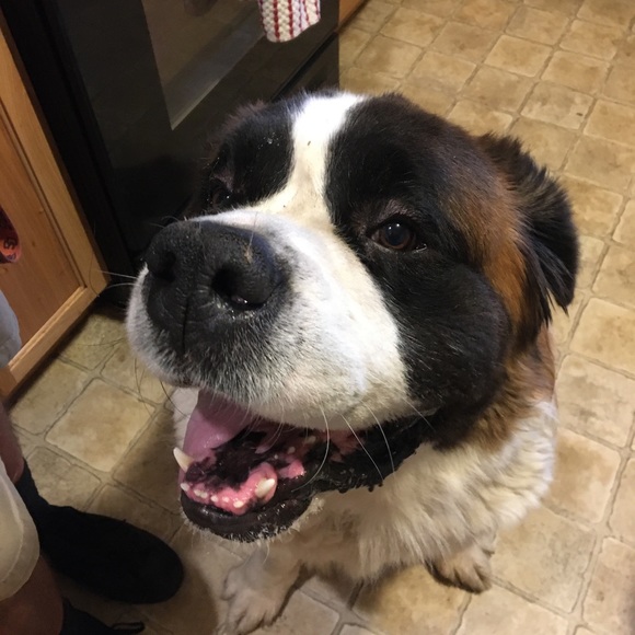 Meet your Posher, Cierra - Picture 1 of 1